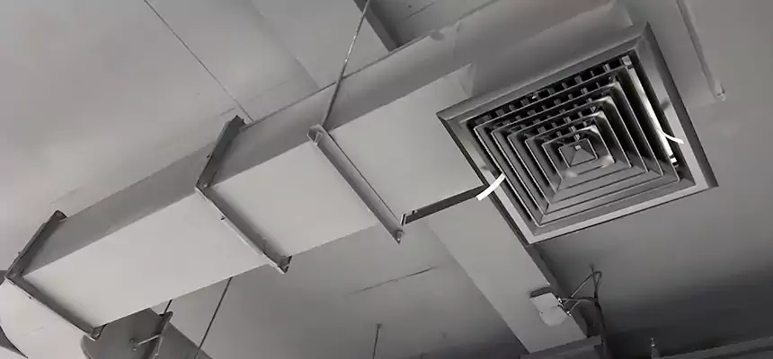 Restorative Allergy Relief Vent Cleaning – Coil, Blower & Housing Detail in Rancho Mirage