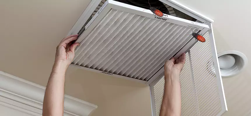 Our Insect Removal from Air Ducts Services in Rancho Mirage, CA