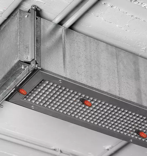 Affordable Insect Removal from Air Ducts in Rancho Mirage, CA
