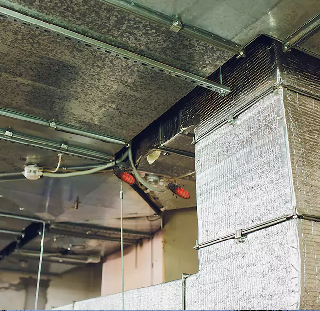 Why Homeowners & Businesses Trust Us in Rancho Mirage, CA?