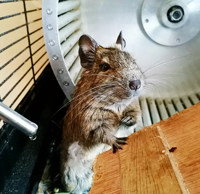 Why Homeowners & Businesses Trust Us Rancho Mirage, CA